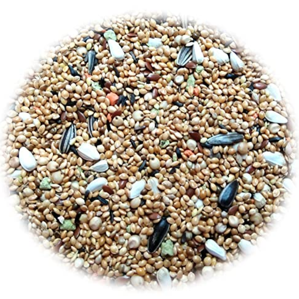 JiMMy Panchee Pick Love Bird Food