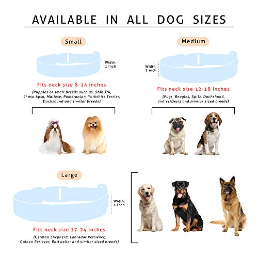 Lana Paws Butt Sniffer Dog Leash (Purple)