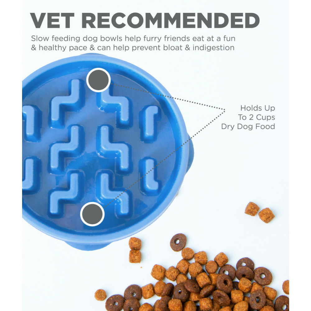 Outward Hound Fun/Slow Feeder for Dogs (Blue)