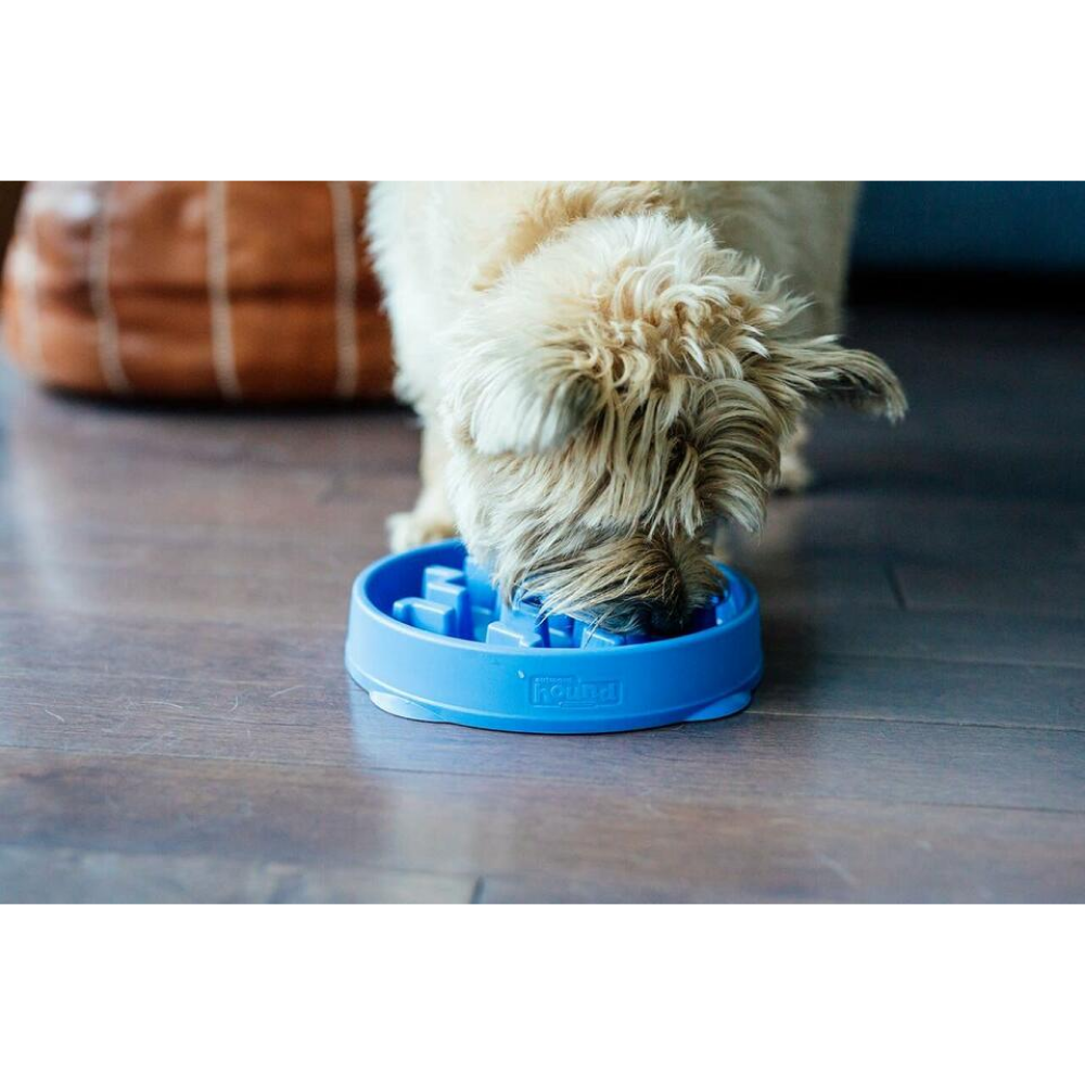 Outward Hound Fun/Slow Feeder for Dogs (Blue)