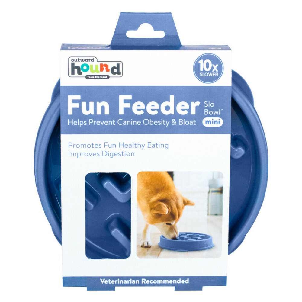 Outward Hound Fun/Slow Feeder for Dogs (Blue)