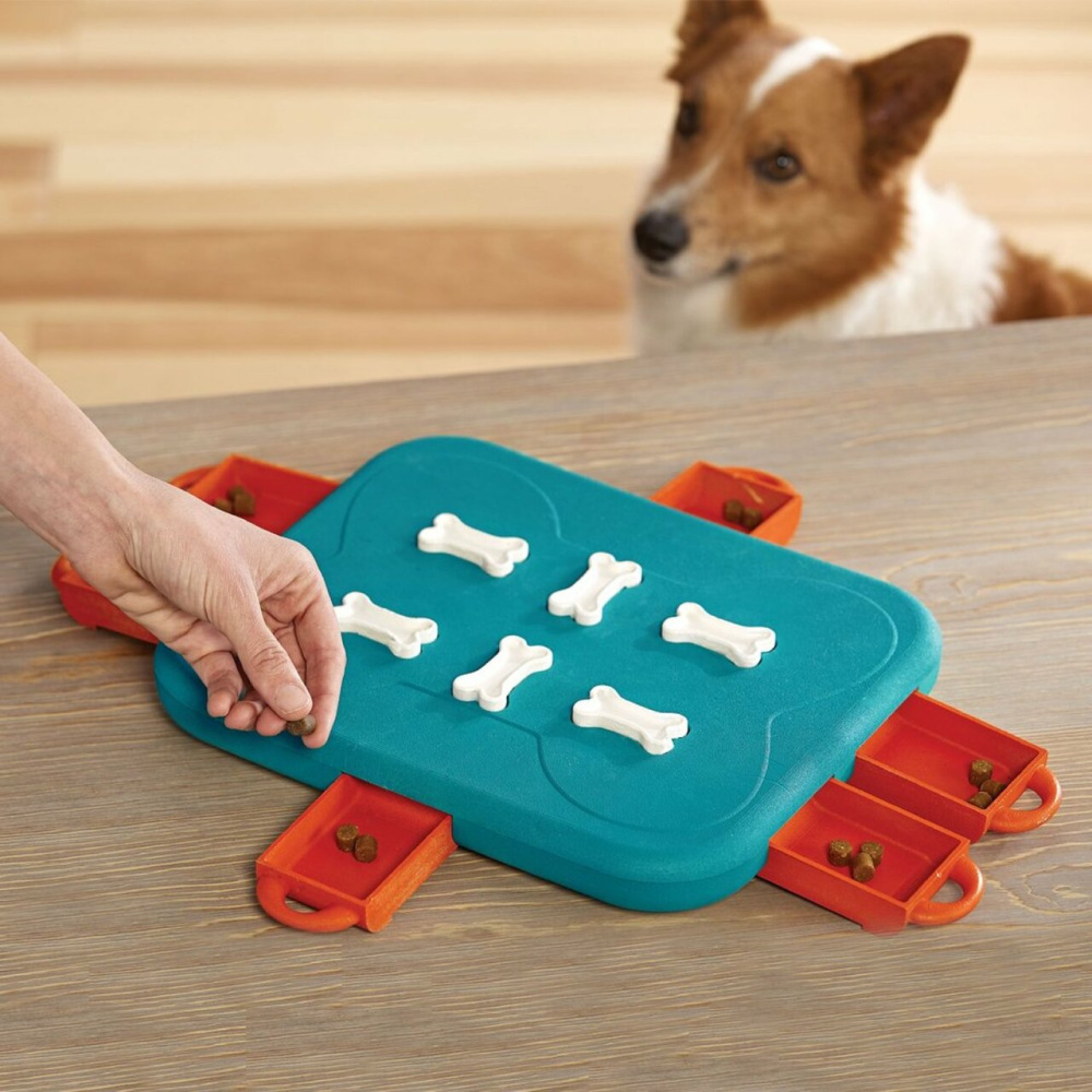Outward Hound Nina Ottosson Dog Casino Game (Level-3 Advanced)