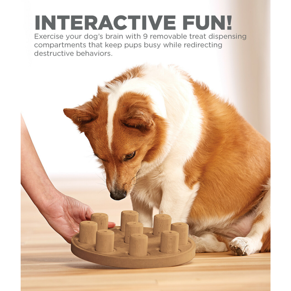 Outward Hound Nina Ottosson Dog Smart Composite Game (Level-1 Beginner)