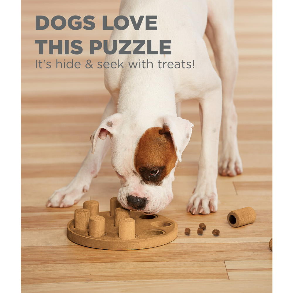 Outward Hound Nina Ottosson Dog Smart Composite Game (Level-1 Beginner)