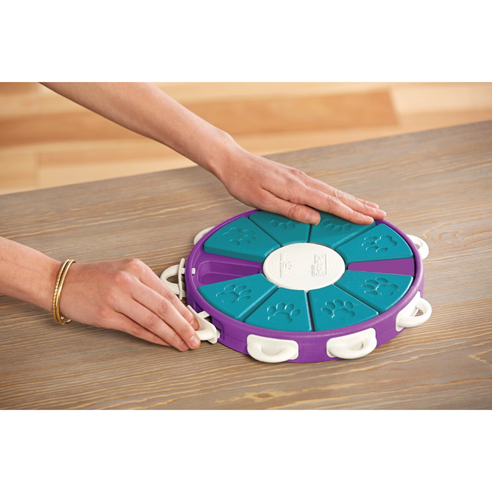 Outward Hound Nina Ottosson Dog Twister Puzzle (Level-3 Advanced)