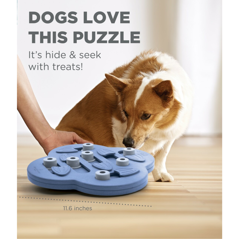 Outward Hound Nina Ottosson Hide N Slide Dog Puzzle (Level-2 Intermediate)(Assorted)