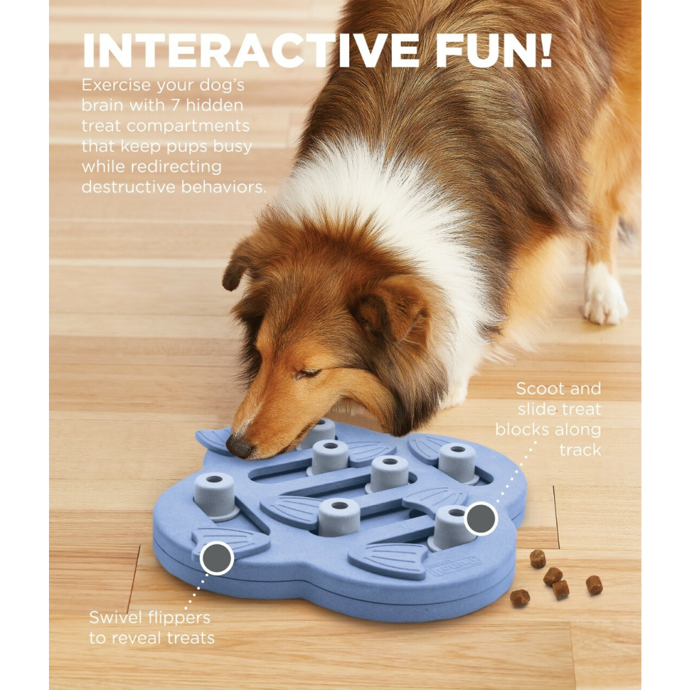 Outward Hound Nina Ottosson Hide N Slide Dog Puzzle (Level-2 Intermediate)(Assorted)