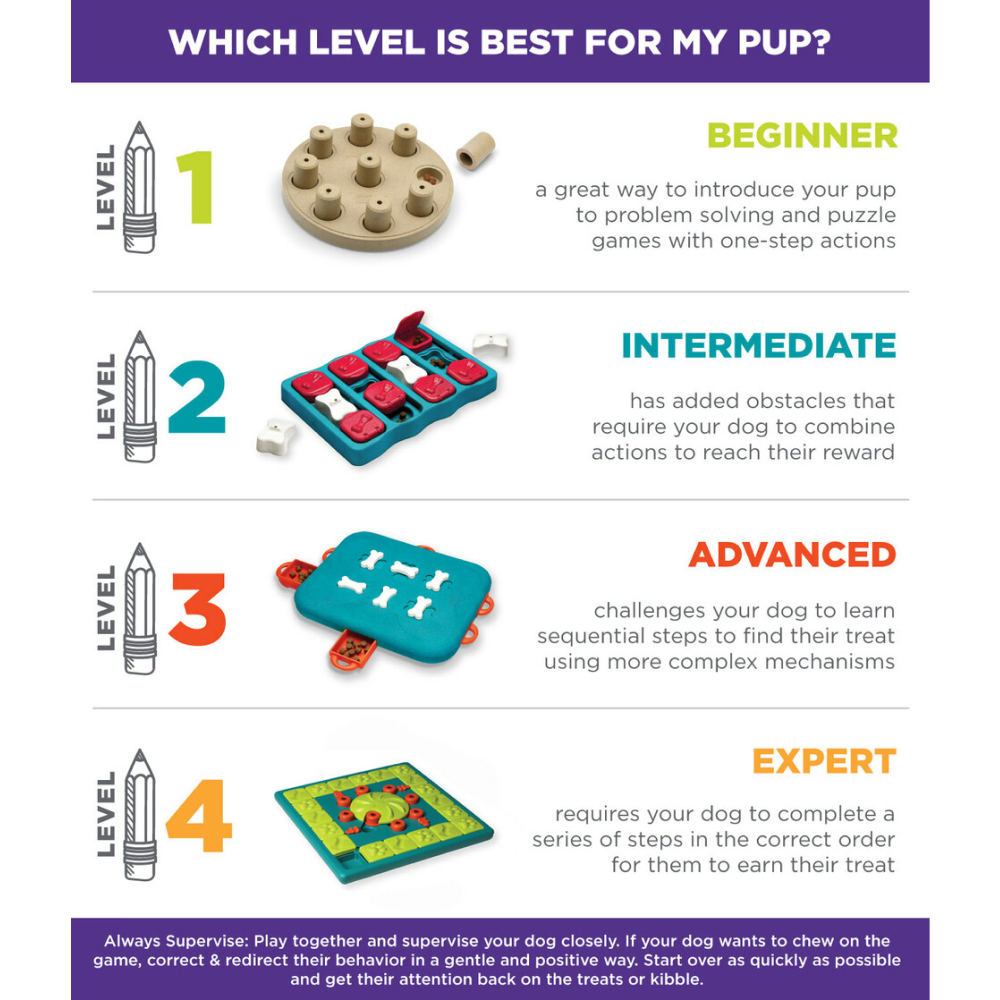 Outward Hound Nina Ottosson Slide N Feed Strategy Game Toy for Dogs (Level-1 Beginner)