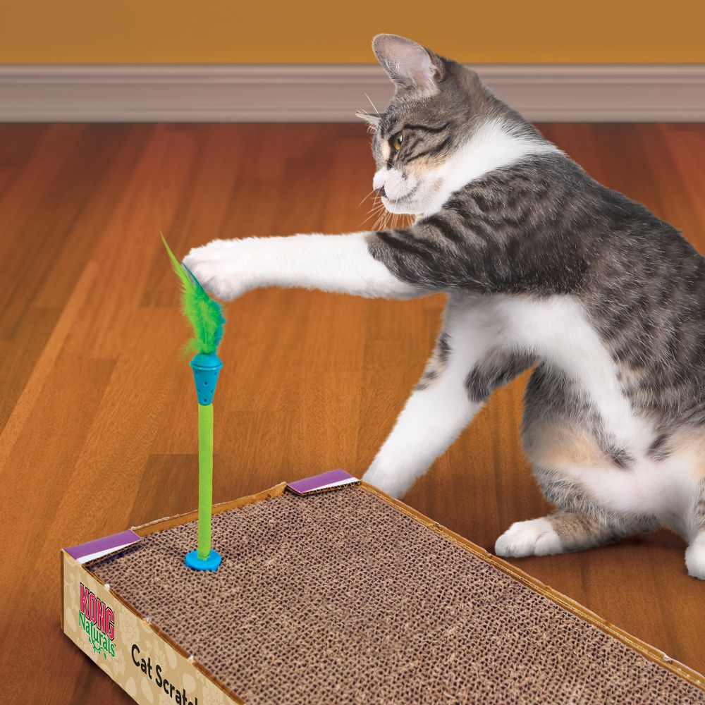 Kong Connects Scratch Toy With Catnip Inside for Cats (Assorted)