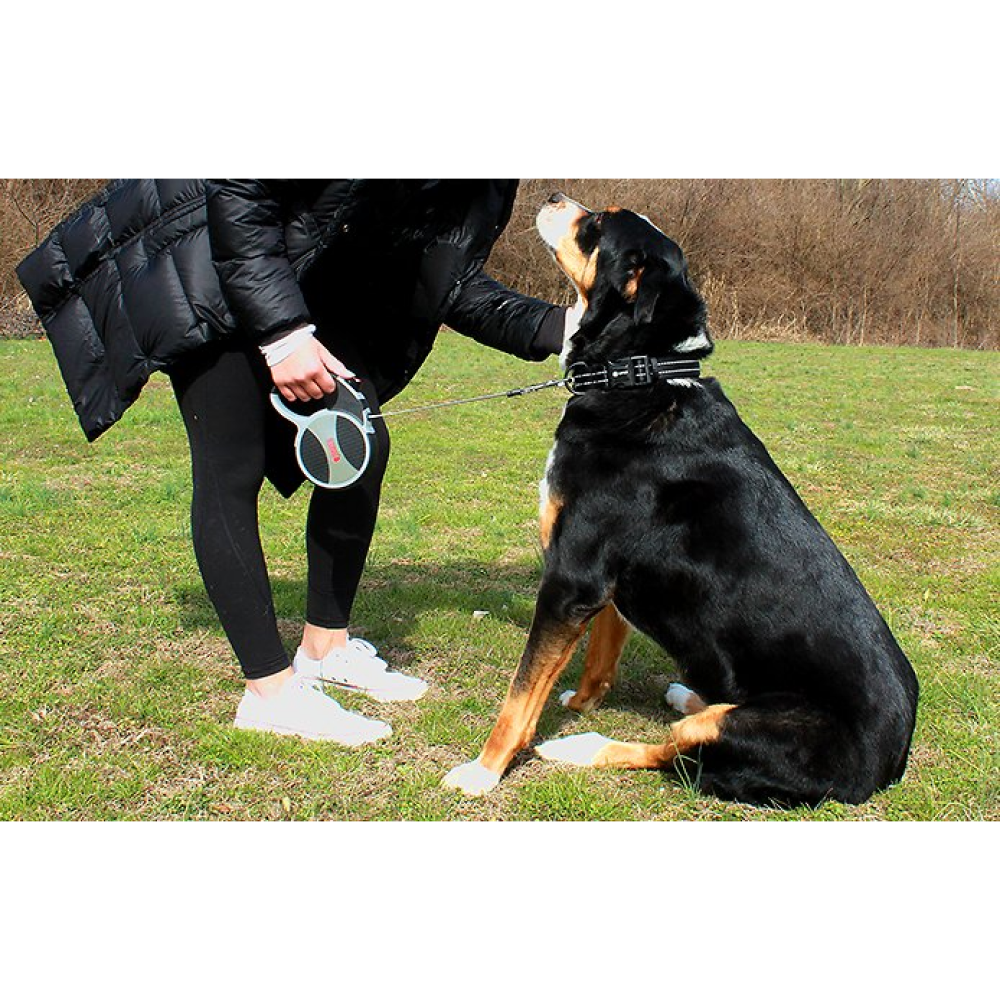 Kong Explore Retractable Leash for Pets (Grey)