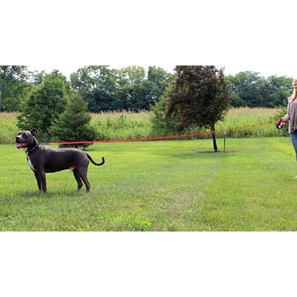 Kong Explore Retractable Leash for Pets (Red)