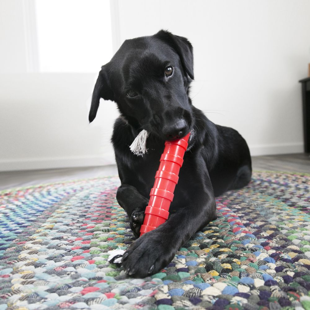 Kong Knots Noodlez Single Toy for Dogs