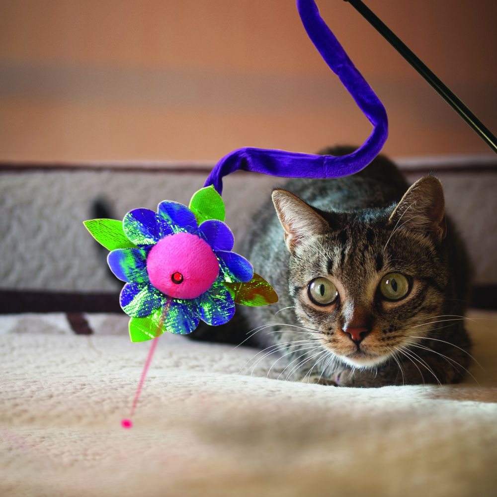 Kong Laser Teaser Characters Cat Toy