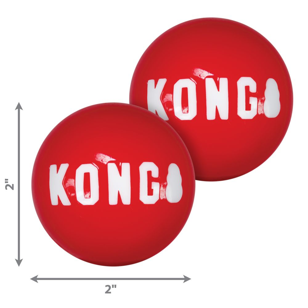Kong Signature Ball Toy for Dogs