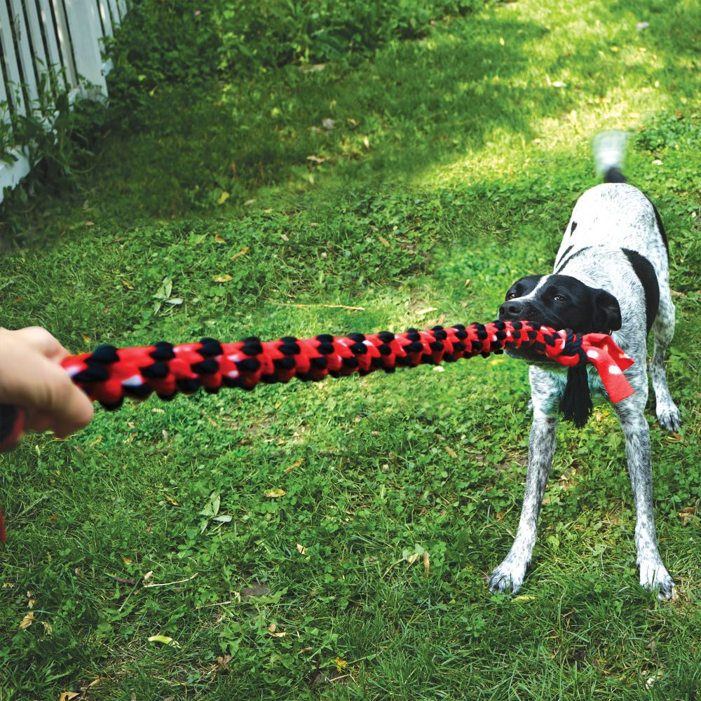 Kong Signature Rope Double Tug Toy for Dogs (22 inch)