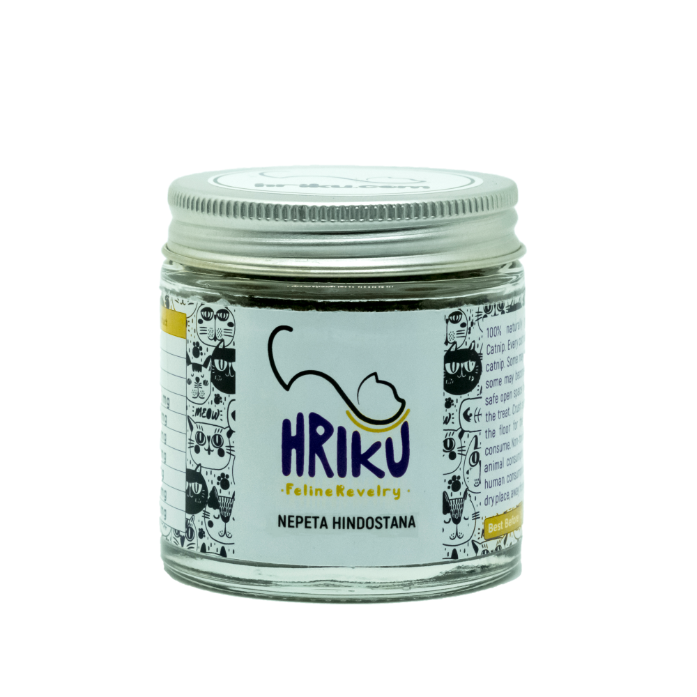 Hriku Nepeta Hindostana Catnip toy for Cats