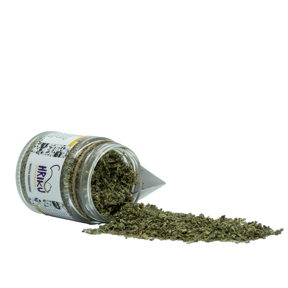 Hriku Nepeta Hindostana Catnip toy for Cats