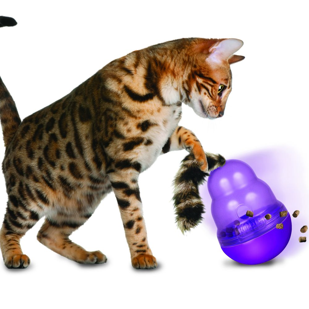 Kong Wobbler Toy for Cats