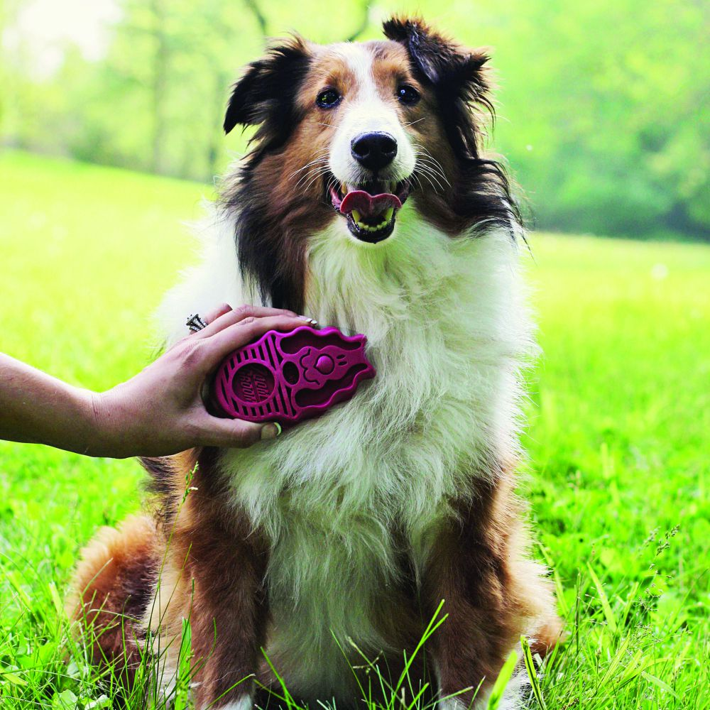 Kong Zoom Groom Boysenberry Brush for Dogs