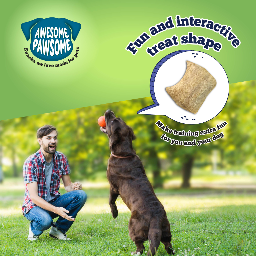 Awesome Pawsome Chicken Dumpling All Natural Grain Free Dog Treats