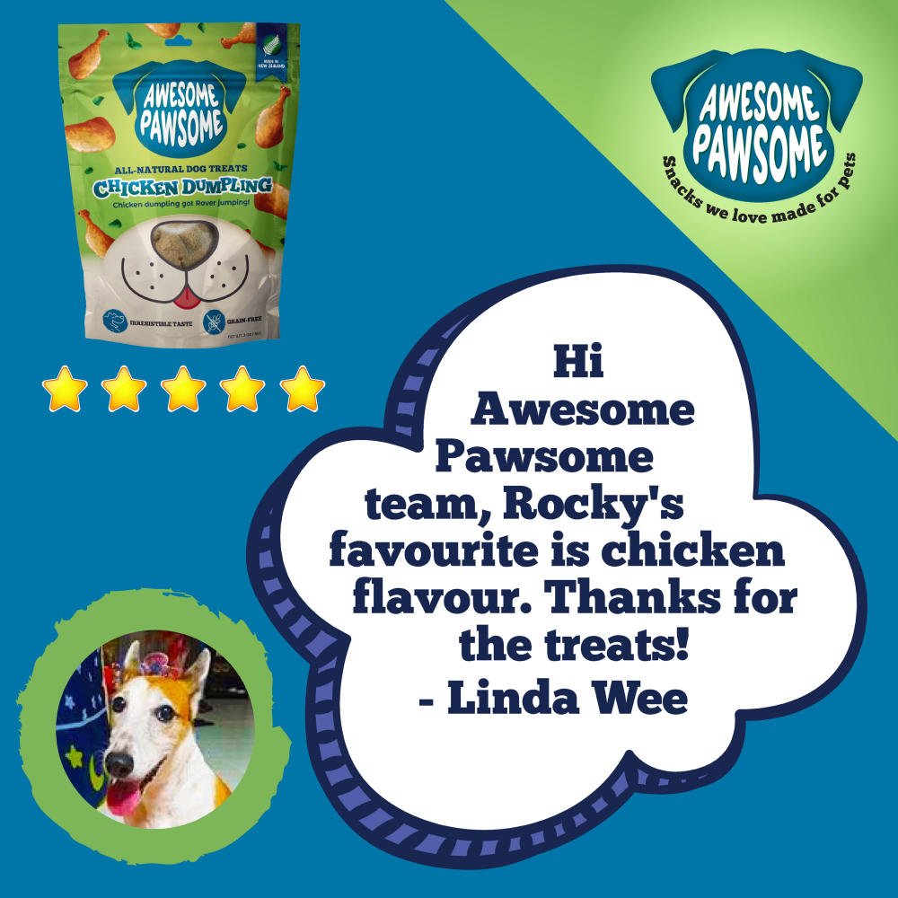 Awesome Pawsome Chicken Dumpling All Natural Grain Free Dog Treats