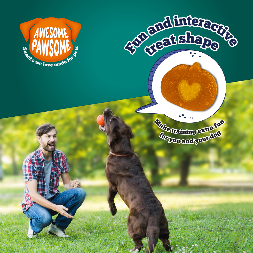 Awesome Pawsome Super Pumpkin All-Natural Grain-Free Treats