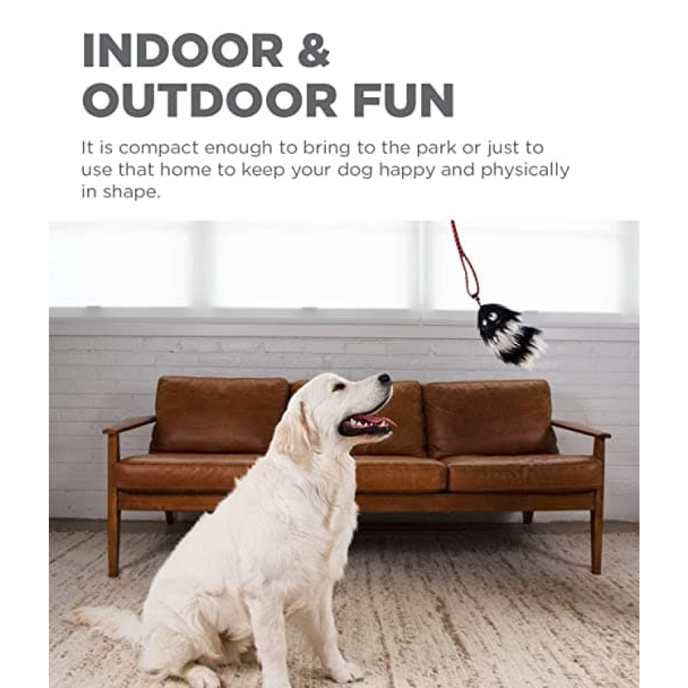 Outdoor Hound Tail Teaser with Refill Interactive Dog Toy