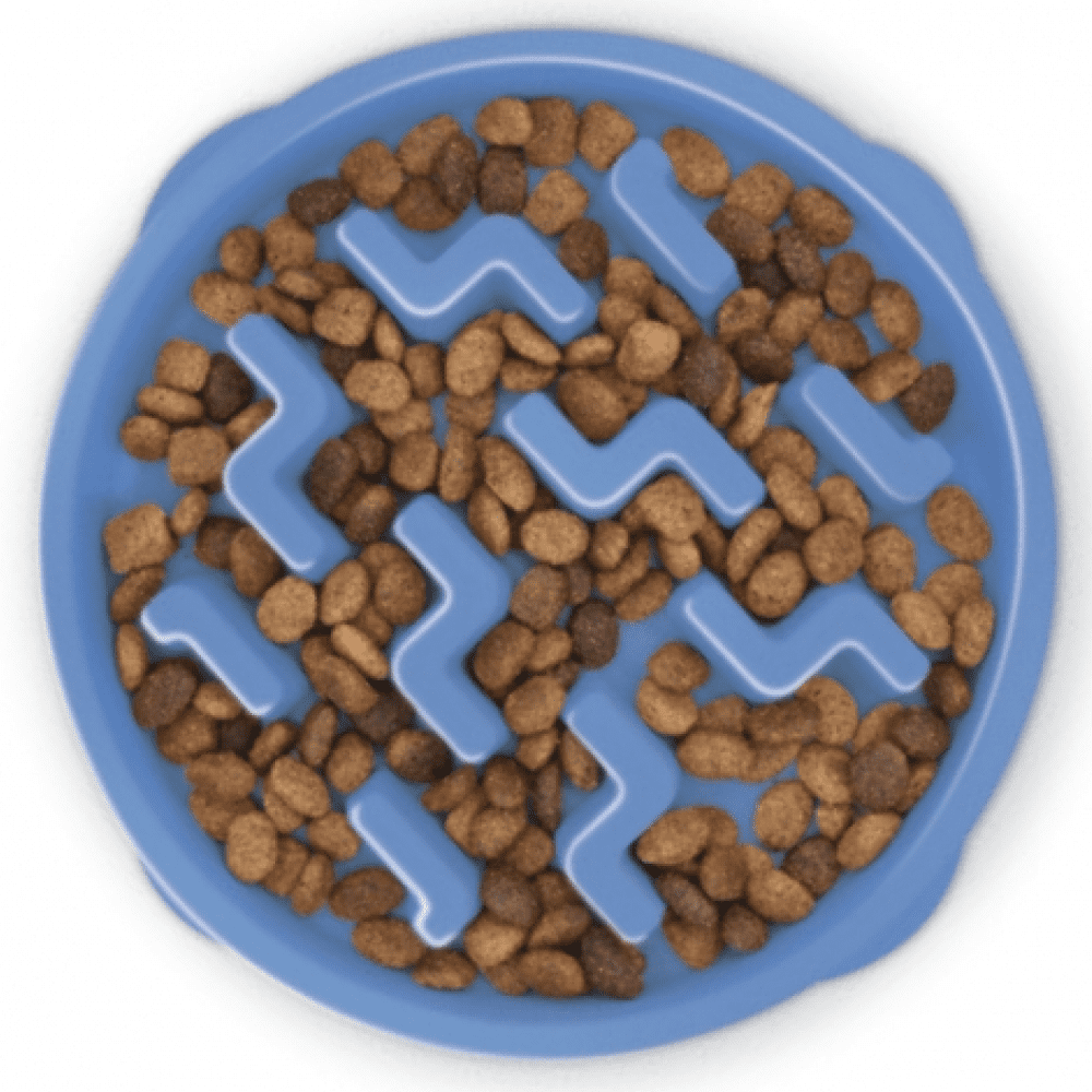 Outward Hound Fun/Slow Feeder for Dogs (Blue)