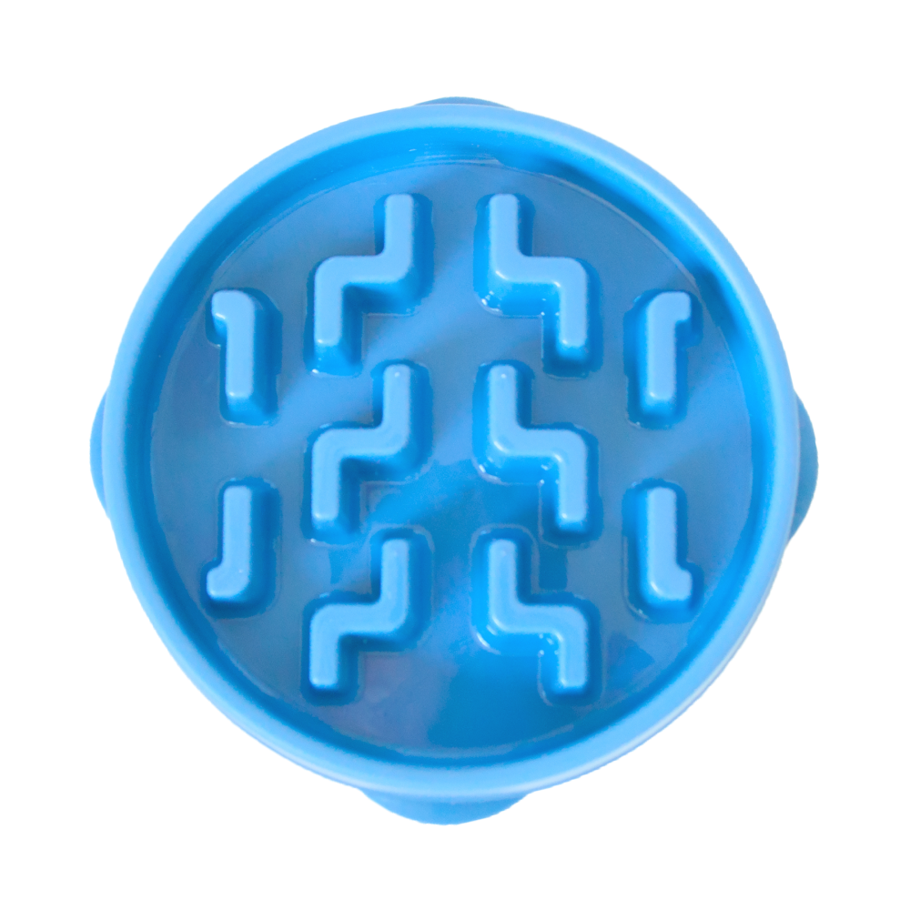 Outward Hound Fun/Slow Feeder for Dogs (Blue)