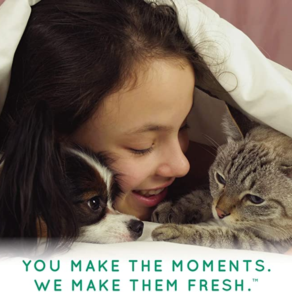 Tropiclean Alcohol-Free Ear Wash for Pets