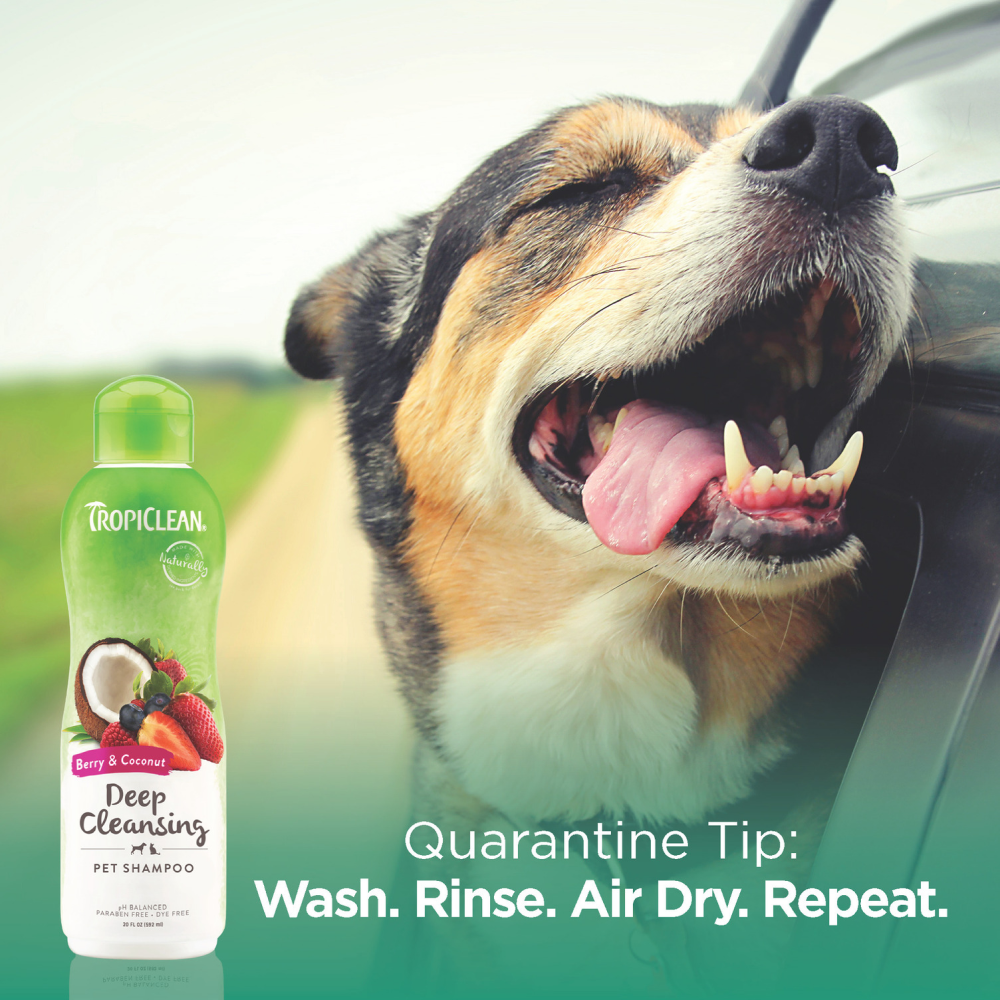 Tropiclean Berry and Coconut Deep Cleaning Shampoo for Pets