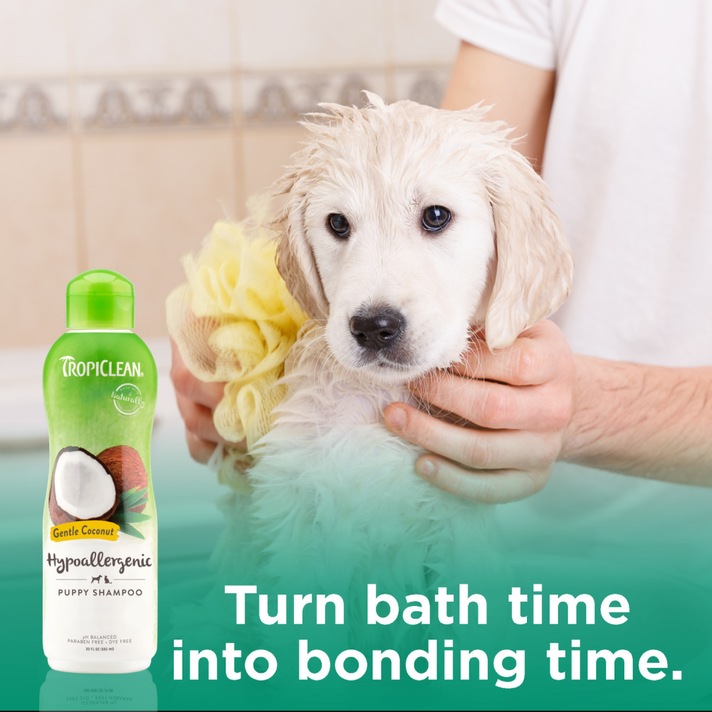 Tropiclean Gentle Coconut Hypoallergenic Shampoo for Pets