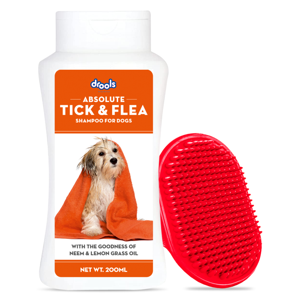Bath Time Essentials Combo for Dogs