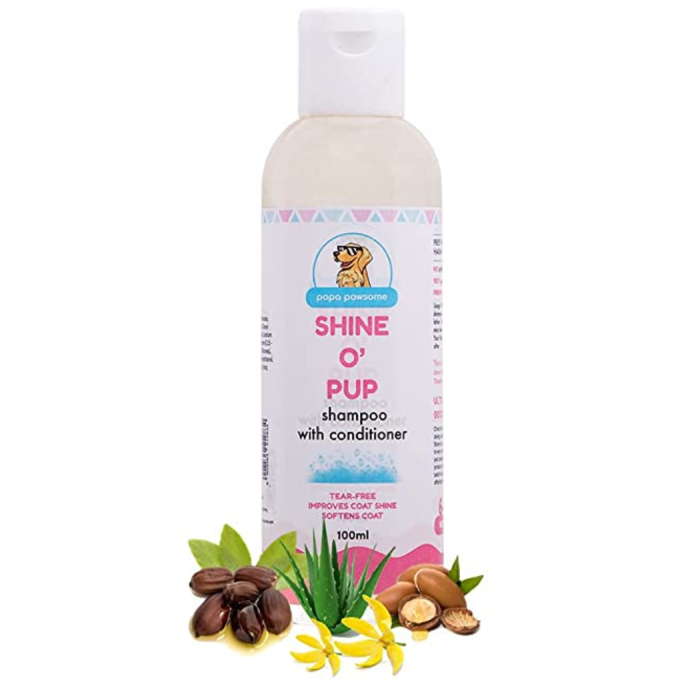 Papa Pawsome Shine O&