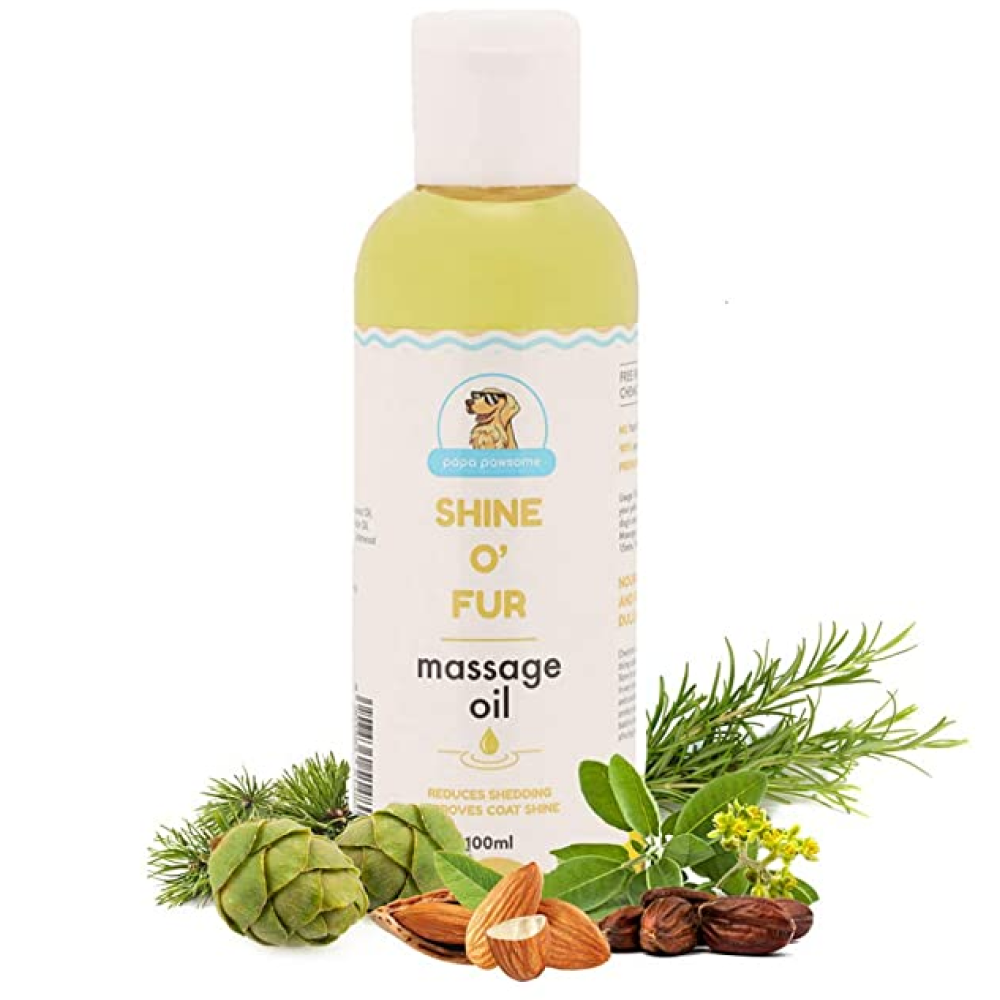 Papa Pawsome Short Coat Basic Grooming Kit (Beagle)