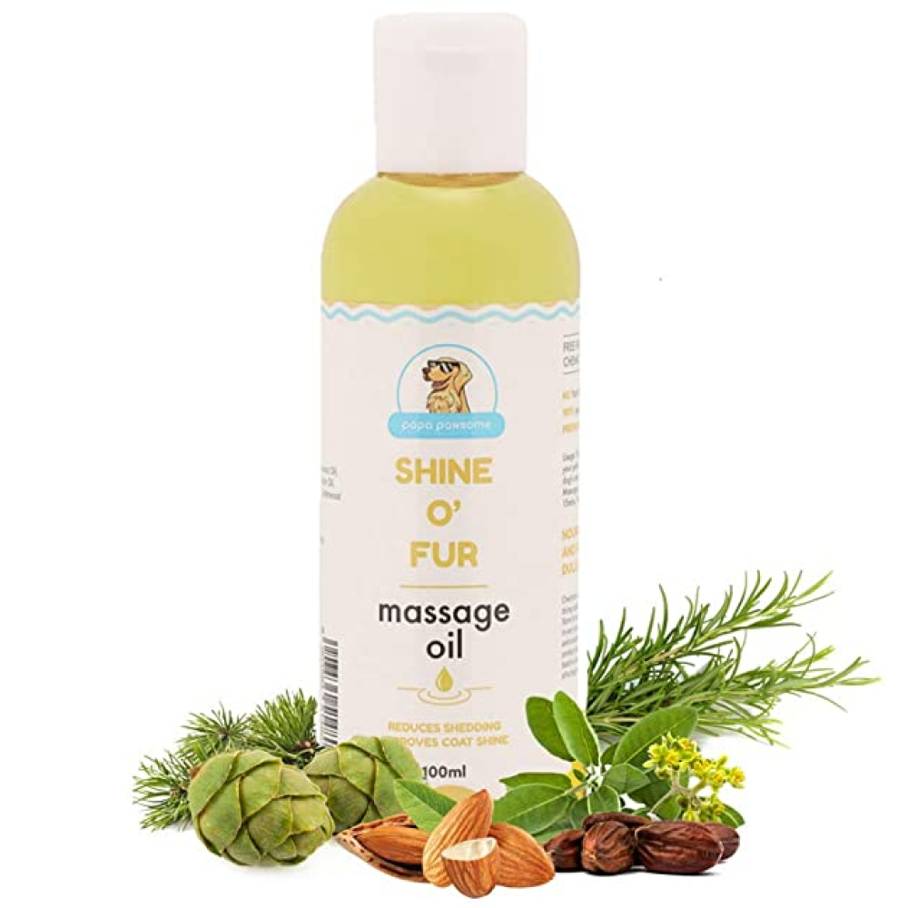 Papa Pawsome Short Coat Basic Grooming Kit (Indie)