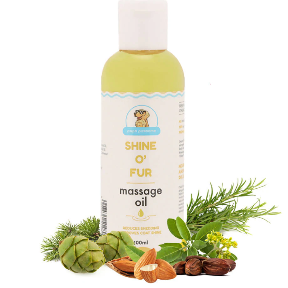 Papa Pawsome Short Smooth Coat Complete Grooming Kit (Corgi)