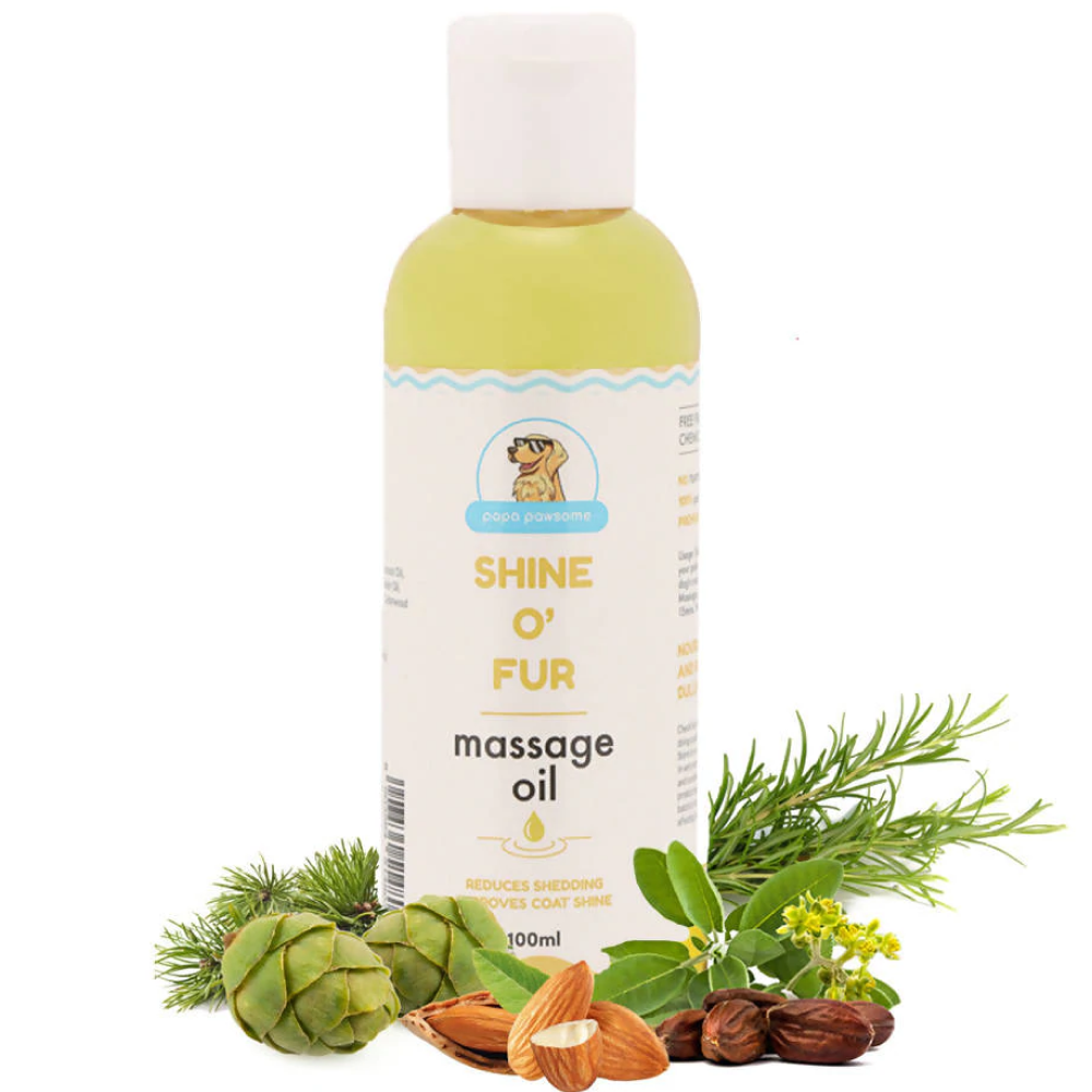 Papa Pawsome Short Smooth Coat Basic Grooming Kit (Boxer)