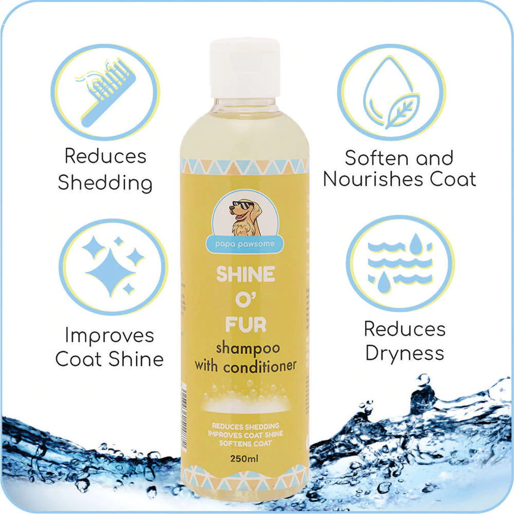Papa Pawsome Short Smooth Coat Basic Grooming Kit (Chihuahua)