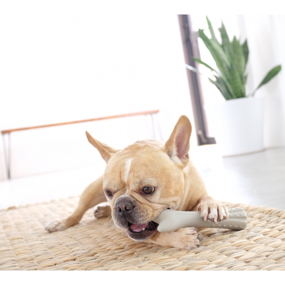 Petstages Deerhorn Durable Chew Toy for Dogs