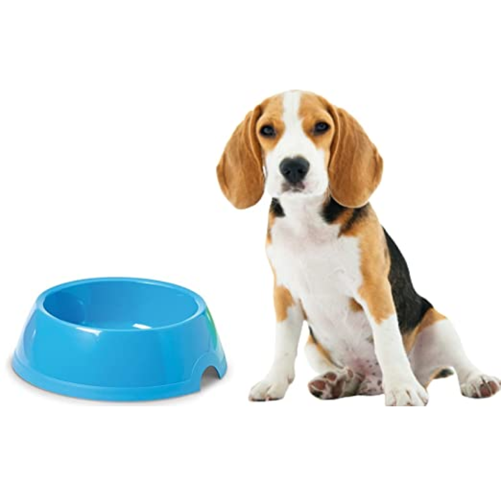 Savic Picnic Bowl for Cats (Blue)