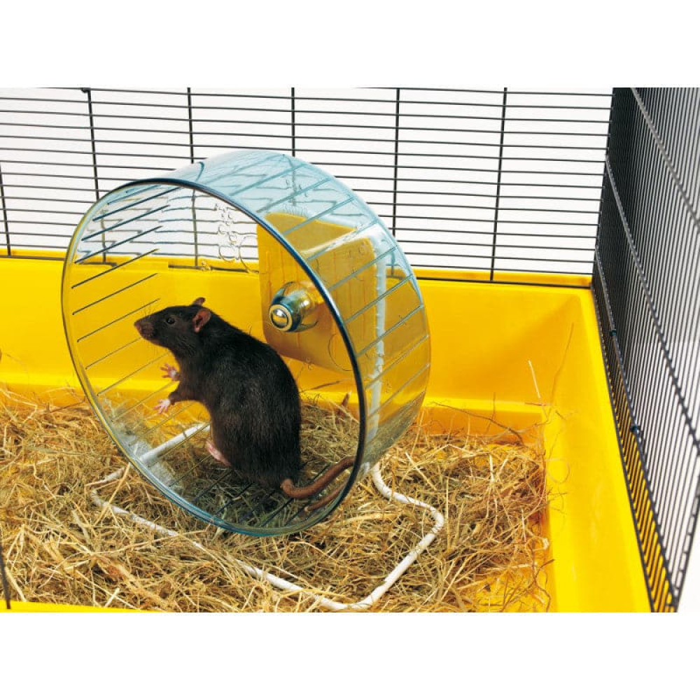 Savic Rolly Jumbo Exercise Wheel for Hamster and Guinea Pigs