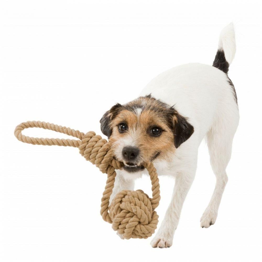 Trixie Be Nordic Rope with Woven in Ball Toy for Dogs