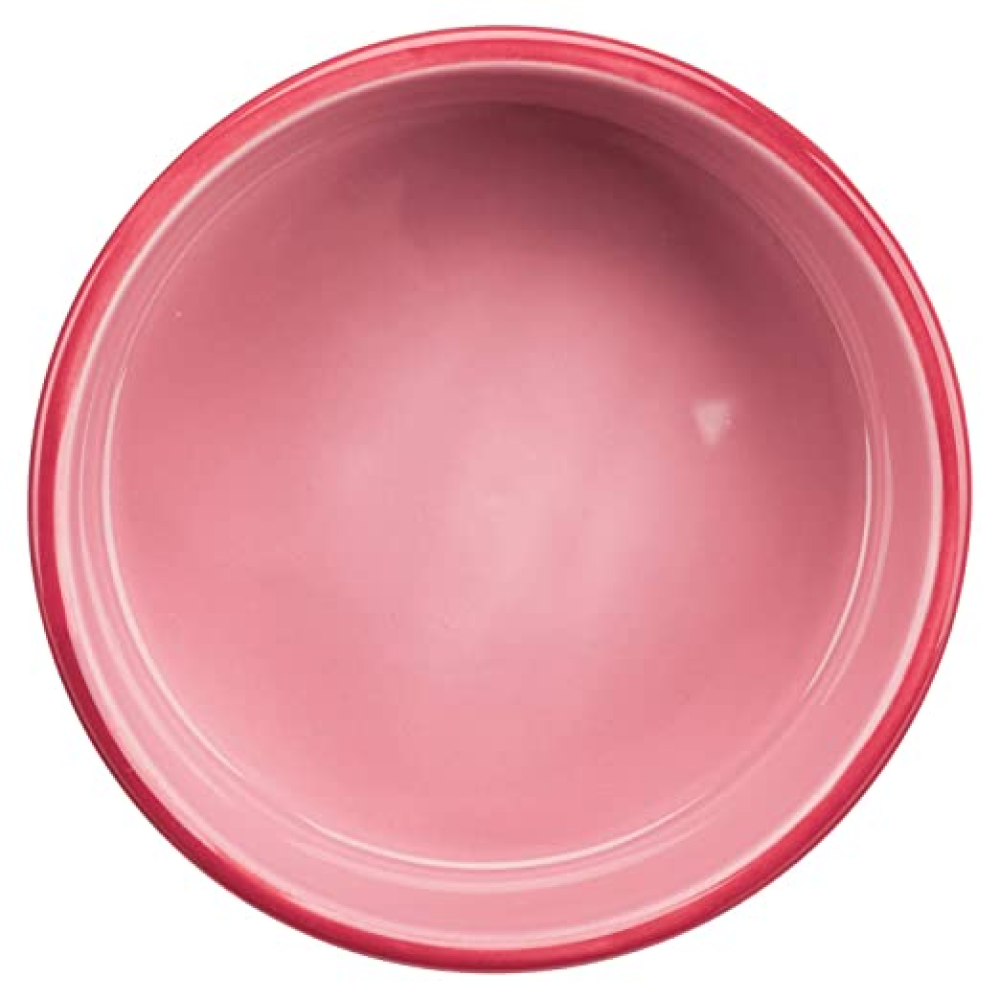 Trixie Ceramic Bowl for Pets (Pink)