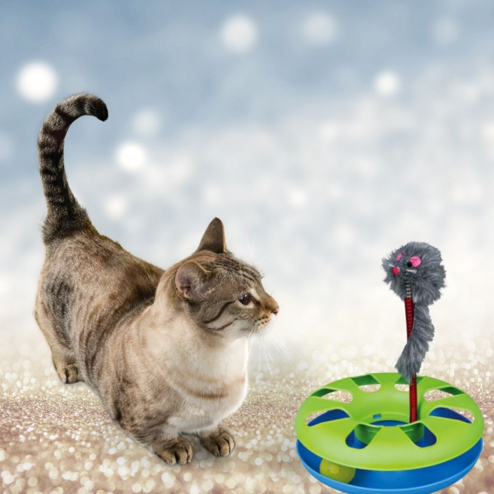 Trixie Crazy Circle with Plush Mouse Toy for Cats