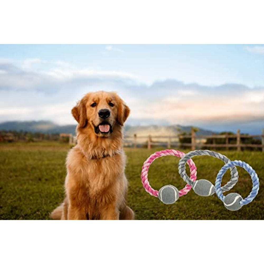 Trixie Rope Ring with Tennis Ball Toy for Dogs (Assorted)