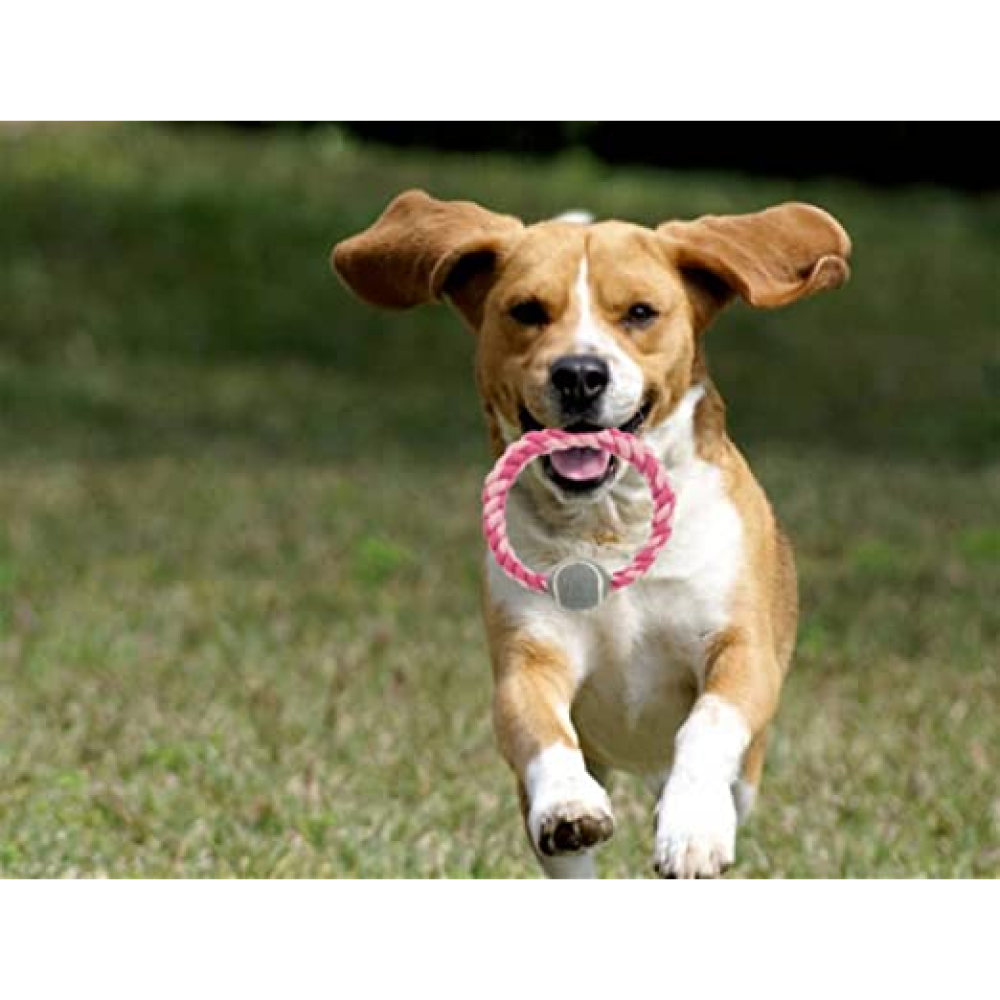 Trixie Rope Ring with Tennis Ball Toy for Dogs (Assorted)