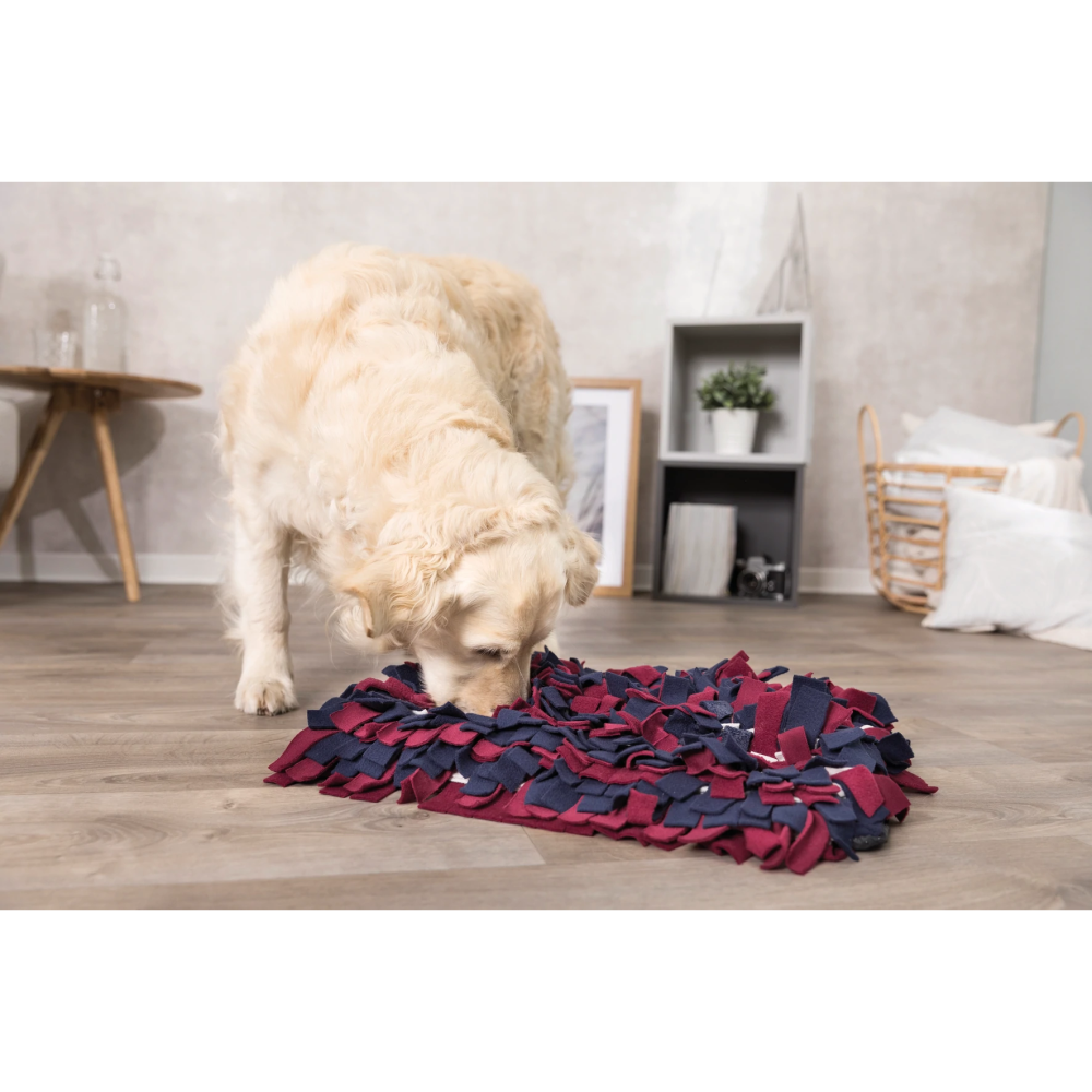 Trixie Sniffing Carpet Strategy Game for Dogs