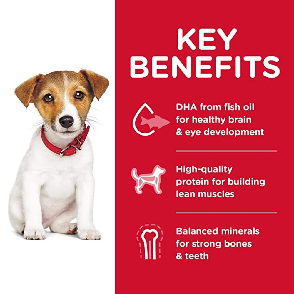 Hills Science Diet Chicken Meal & Barley Rice Recipe Small Bites Puppy Dry Food