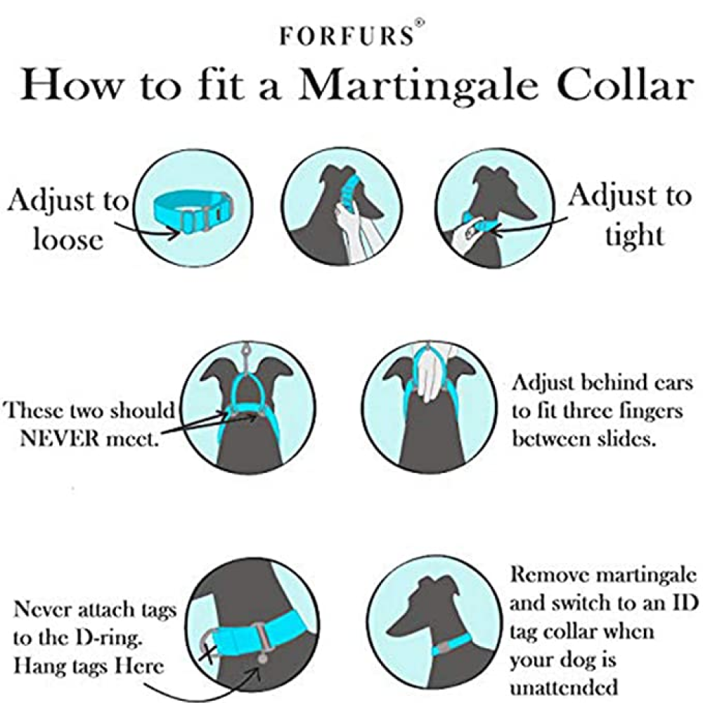 FurBuddies Viva La Vibrance Martingale Collar for Dogs
